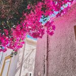Brianne Winebrenner - @winebrennerbrianne - Instagram
