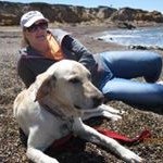 Brian Wing - @wing1962 - Instagram