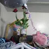 brianwing221 - @brianwing221 - TikTok
