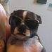 Brian Wingate - Facebook