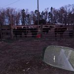 Brian Wingert - @wingert.b - Instagram