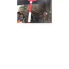 Brian_Wingert - @userjamkx8u9uvkv - TikTok