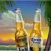 Brian Wingo - Facebook