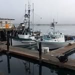 Brian Wininger - @winingerbrian - Instagram