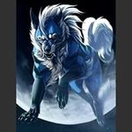 brian_wink - @brianwinklaar8 - Instagram