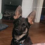 Brian Winnett - @brian_winnett48 - Instagram