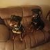 Brian Winningham - Facebook