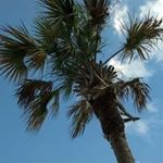 Brian Winningham - @bwelect - Instagram