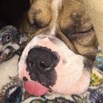 Brian Winter - @briwinter76 - Instagram