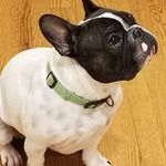Brian Winter - @brian.winter.3572 - Instagram