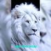 Brian Winter - Facebook