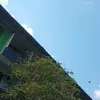Brian Winther - @brian.winther - TikTok