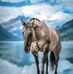 Brian Wipf - Facebook
