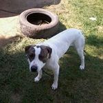 Brian Lee Wireman - @brianwireman - Instagram