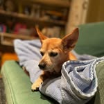 Brian Wirick - @bewirick - Instagram