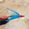 brianwirt822 - @brianwirt822 - TikTok