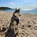 Brian Wiscombe - Facebook