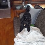 Brian Wise - @brian.wise.965928 - Instagram
