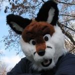 Brian Witt - @ke9fox - Instagram