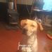 Brian Whitcomb - Facebook