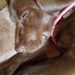 Brian Wittmer - @brianwittmer - Instagram