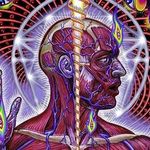 Bryan Witz - @bryanwitz - Instagram