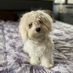 Brian Wolter - @bawolter6 - Instagram