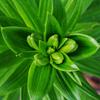 brianwooley288 - @brianwooley288 - TikTok
