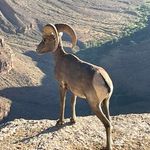 Brian Worthen - @brian.worthen.79 - Instagram
