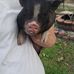Brian Wortman - Facebook