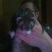 Brian Wortman - Facebook