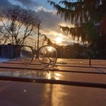 Brian Xie - @brian_morus - Instagram