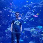 Brian Xie - @bxie111 - Instagram