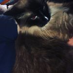 Brian Lee yager Jr. - @brian_yager_jr - Instagram