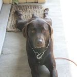 Brian Yager - @brian.d.yager - Instagram