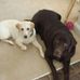 Brian Yarbrough - Facebook