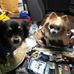 Brian Yip - Facebook