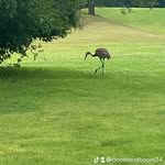Brian Zahn - @boomandboom23 - Instagram