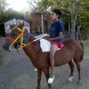 Brian Zárate736 - @briandamian17 - TikTok