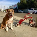 Brian Zarate - @thebrianzarate - Instagram