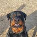 Brian Zeh - Facebook