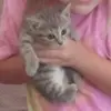briana - @briana.barrett - TikTok