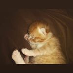 briana beardsley - @briana_beardsley14 - Instagram