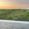 Briana Benoit - @briana.benoit7 - TikTok