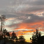 Brianna Harper - @briannaharper52 - Instagram
