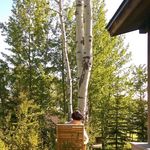 Briana Larson - @bzplus6 - Instagram