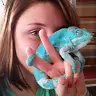Briana McCormick - @brianamccormick2 - TikTok