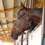 Briana Olson - @forest_eventing - Instagram
