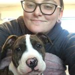 Briana Sullivan - @briana_sullivan4 - Instagram