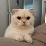 Briana Swift - @swift350 - Instagram
